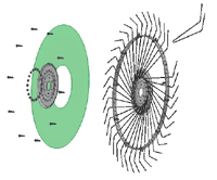 FINALstill